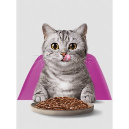 15+2 Gratis x85g Whiskas Katzenfutter Nassfutter MIX schmecken -Pure Delight-