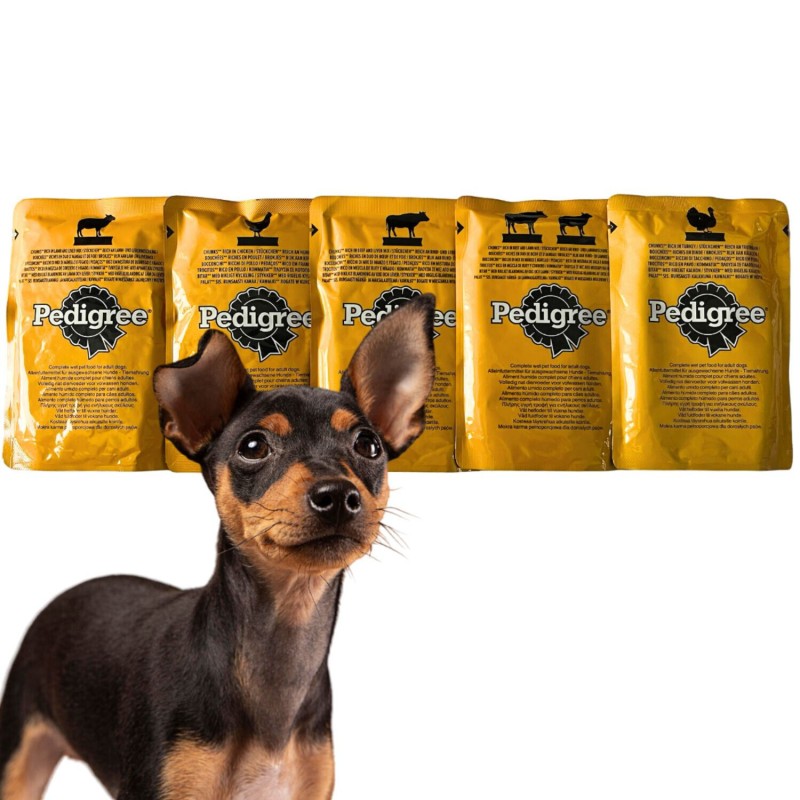 12 x 100g Hundefutter PEDIGREE Adult Gemischte Selektion in Gelee Hundefutter