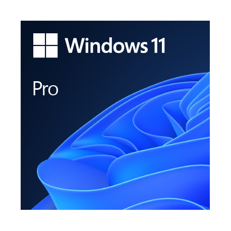 Microsoft Windows 11 Pro 64 Bit | Mehrsprachig | Download